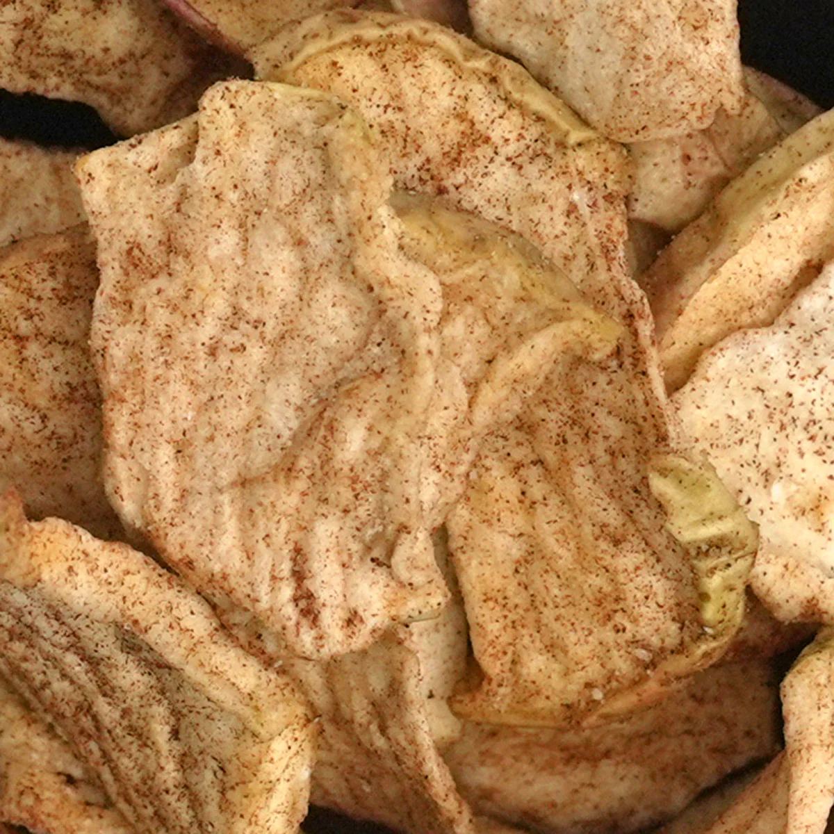 Apfel-Zimt Chips – getrocknete Apfelscheiben mit Zimt - Image 2